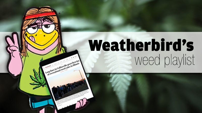 Weatherbird's weed playlist